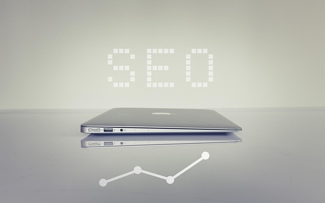 1747204159658858.jpg seo-6183542_640.jpg